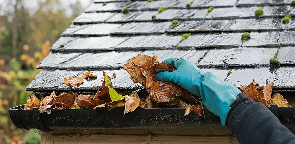 Gutter cleaning technician clearing wet leaves from roof gutters in Chicago, IL